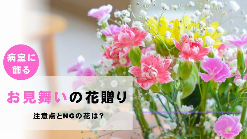 花屋が教える 病室へのお見舞いに贈る花のおすすめとタブーは 切花情報サイト ハナラボノート
