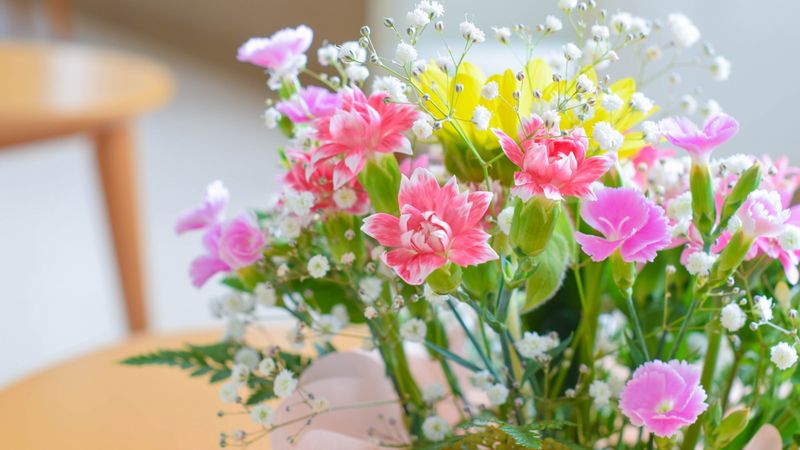 花屋が教える 病室へのお見舞いに贈る花のおすすめとタブーは 切花情報サイト ハナラボノート