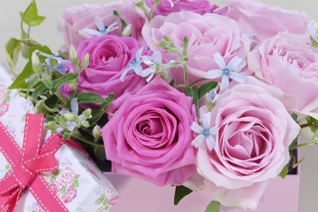 花屋が教える お見舞いに贈る花のタブーとは 切花情報サイト ハナラボノート