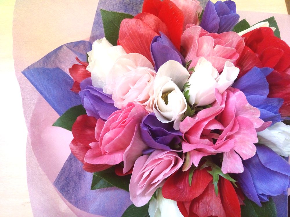 こんな花束の贈り方はいかが 単品花束のススメ 切花情報サイト ハナラボノート