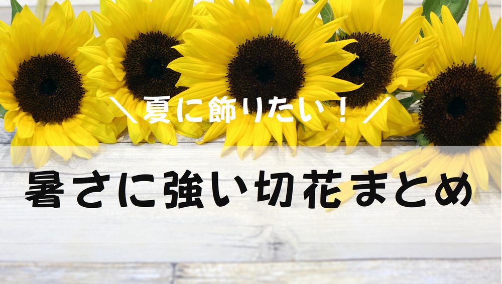 夏は切り花がもたない 7 8月に花屋で買える 暑さに強い切花 をまとめました 切花情報サイト ハナラボノート