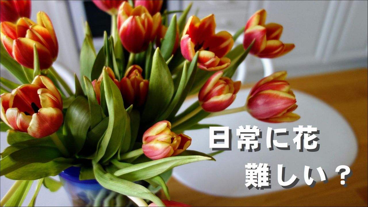 日常に花を と言ったって 家でお花を楽しむ人がふえない本当の理由 切花情報サイト ハナラボノート