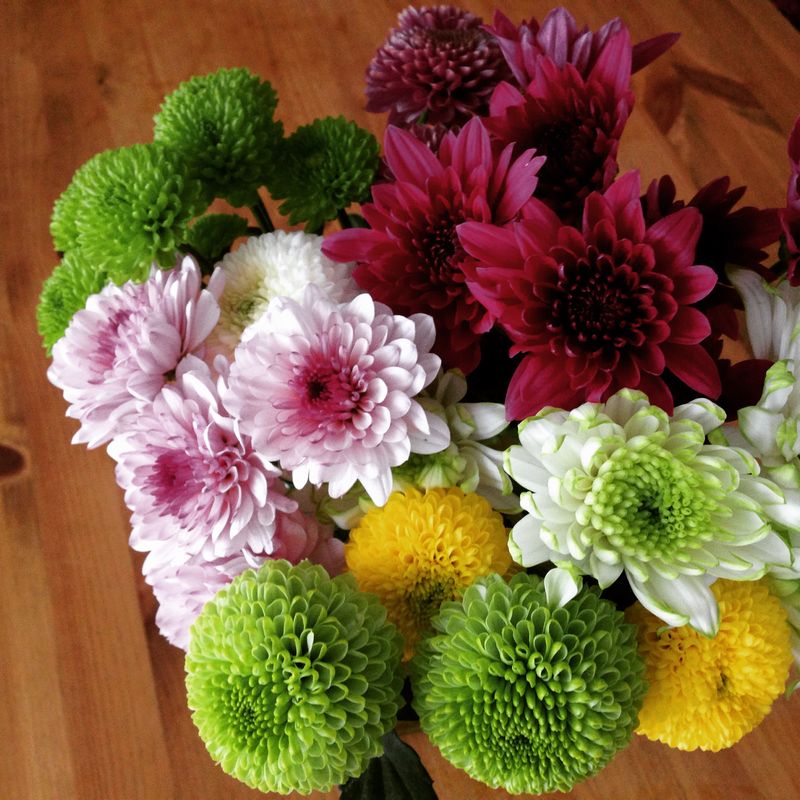 お正月の花飾り 花屋さんで買える定番 お正月の花 まとめ 切花情報サイト ハナラボノート