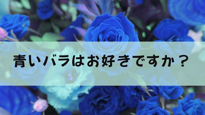 青いバラは存在する 花屋が考える青いバラの魅力 切花情報サイト ハナラボノート