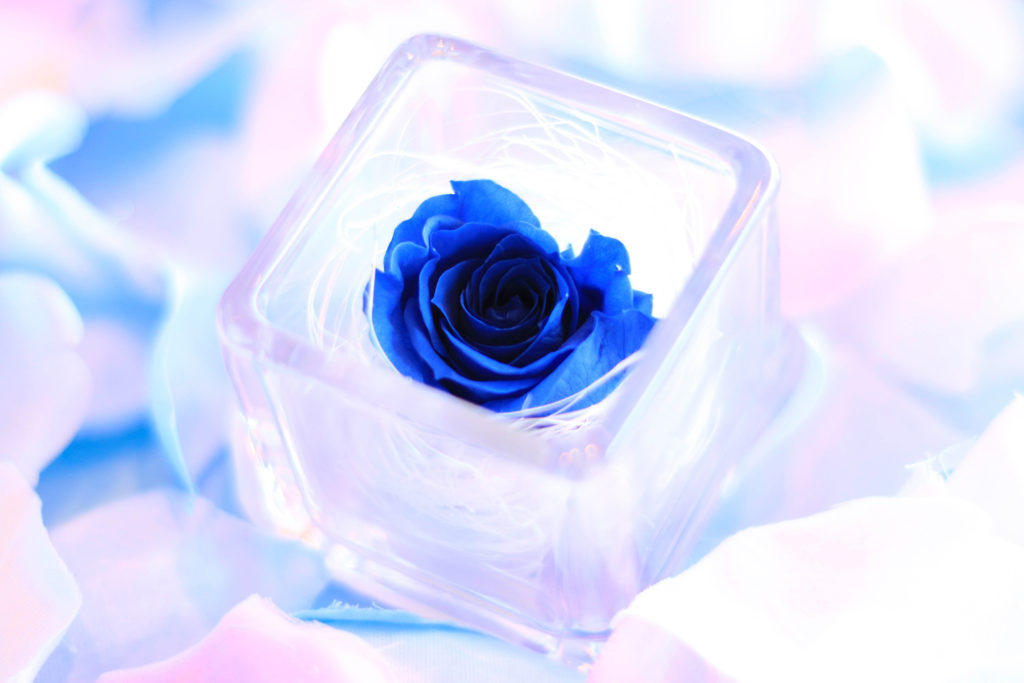 青い 薔薇 花 言葉