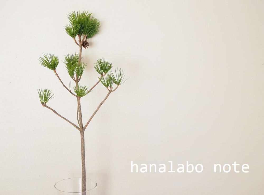 さまざまな松の葉のクリスマスツリーの装飾 無料のベクター 30pcsクリスマス松葉人工松の枝松の小枝茎ピック緑の植物 Tk Gov Ba