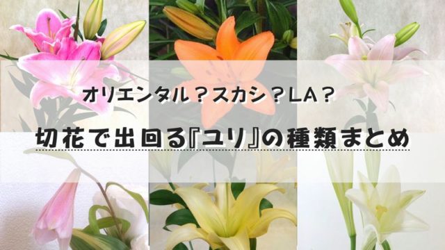送別会の花束 花屋が教える 注文のコツと注意点をまとめたよ 切花情報サイト ハナラボノート