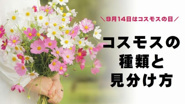 7月は東京のお盆 お盆に飾る花と必要なものをまとめてみた 切花情報サイト ハナラボノート
