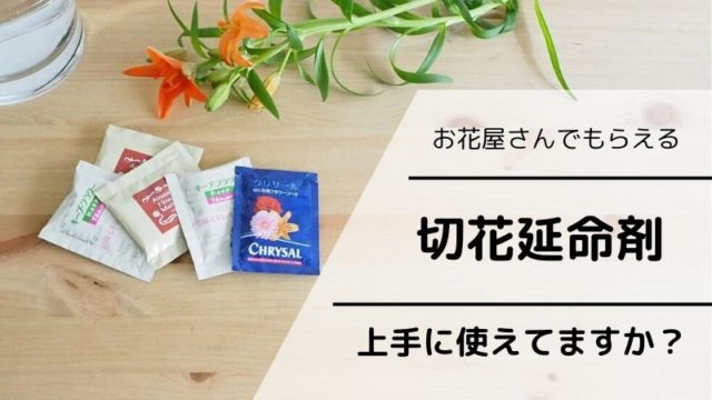 お花屋さんがくれる 切花延命剤 上手に使えてますか 切花情報サイト ハナラボノート