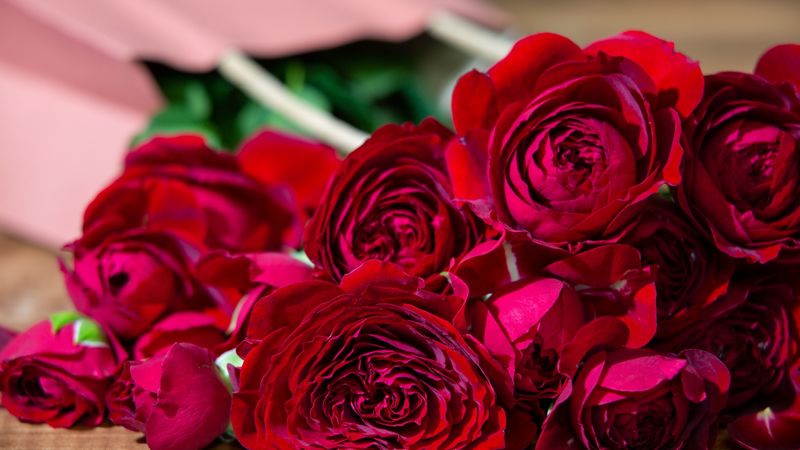 12月12日 ダズンローズデー 12本のバラで愛を伝えよう 切花情報サイト ハナラボノート