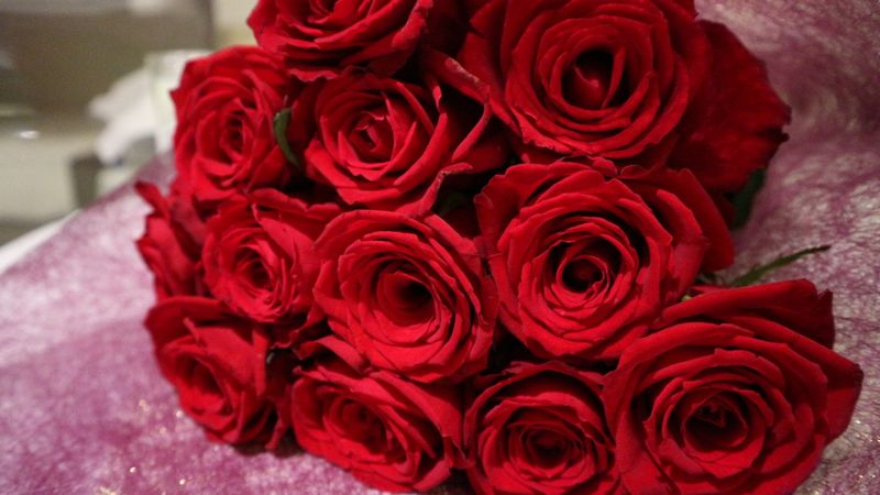 12月12日『ダズンローズデー』12本のバラで愛を伝えよう｜切花情報サイト／ハナラボノート