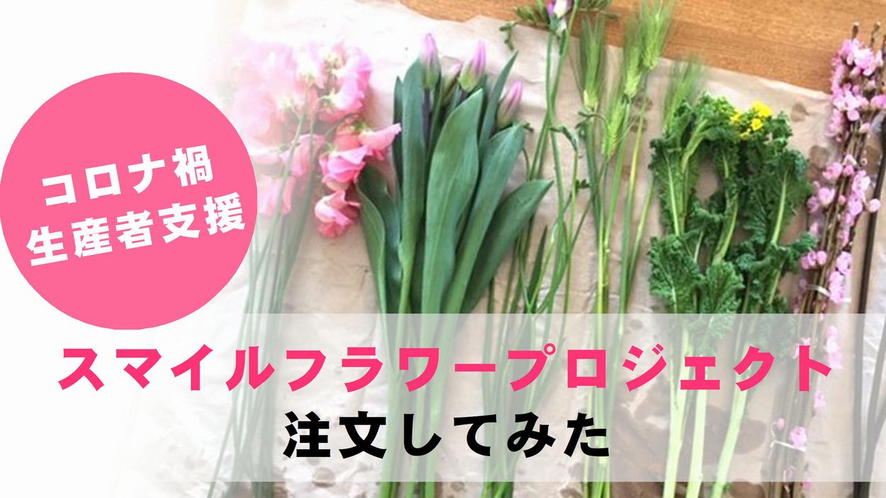スマイルフラワープロジェクトでお花を注文してみました 体験 口コミ 切花情報サイト ハナラボノート