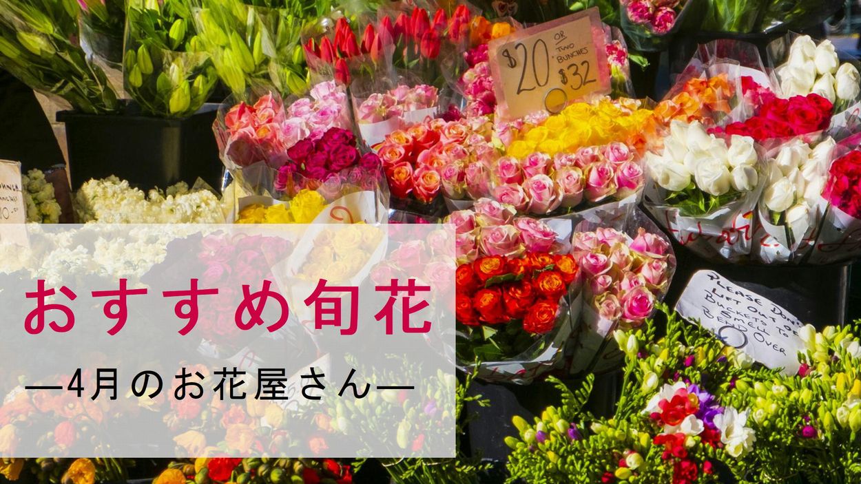 4月のお花屋さん おすすめの旬の花 誕生花 イベントまとめ 切花情報サイト ハナラボノート