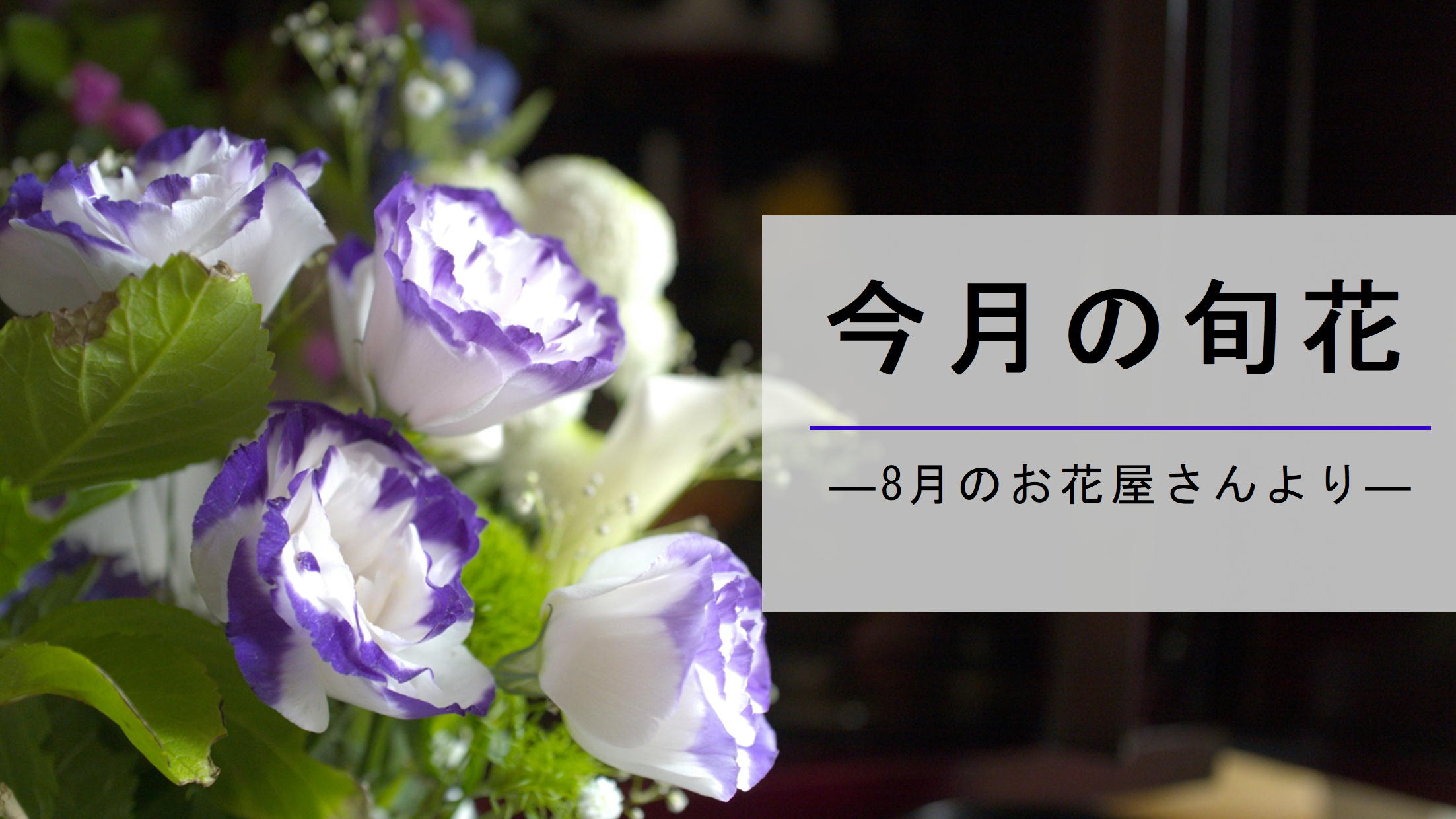 8月のお花屋さん おすすめの旬の花 誕生花 イベントまとめ 切花情報サイト ハナラボノート