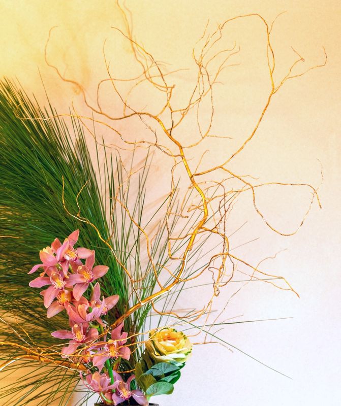 枝もの図鑑 ウンリュウヤナギ 花言葉 出回り時期 花もち 飾り方 切花情報サイト ハナラボノート