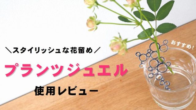 お花屋さんがくれる 切花延命剤 上手に使えてますか 切花情報サイト ハナラボノート